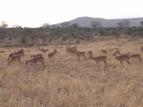 DSCN1252.JPG